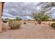 View of the backyard, showcasing desert landscaping and mature trees at 188 N Nueva Ln, Casa Grande, AZ 85194