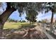 Expansive greenspace view showcasing the verdant lawns, mature trees, and landscaping on the community property at 19277 N 78Th Ln, Glendale, AZ 85308