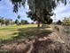 Expansive greenspace view showing verdant lawns, mature trees, and landscaping on the community property at 19277 N 78Th Ln, Glendale, AZ 85308