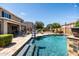 Lush backyard featuring a sparkling pool, covered patio, lounge chairs, and beautifully manicured landscaping at 21030 E Misty Ln, Queen Creek, AZ 85142