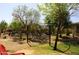 Inviting backyard with lush grass, a pergola, mature trees, and desert landscaping at 3957 N 148Th Dr, Goodyear, AZ 85395