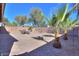 Private backyard featuring desert landscaping, patio seating, and mature palm trees at 43409 W Sagebrush Trl, Maricopa, AZ 85138