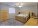 Cozy bedroom featuring a ceiling fan, neutral carpet, and abundant natural light from the large window at 43409 W Sagebrush Trl, Maricopa, AZ 85138