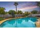 Inviting backyard pool area, complete with lounge chairs, lush landscaping, and a towering palm tree at 5629 E Thunderbird Rd, Scottsdale, AZ 85254