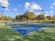 Outdoor pickleball courts with vibrant blue surfaces are surrounded by greenery and open skies at 8530 W Trenton Ct, Florence, AZ 85132