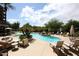 Resort-style pool area surrounded by lush landscaping, lounge chairs, and shade umbrellas at 15802 N 71St St # 501, Scottsdale, AZ 85254