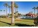 Community pool area with palm trees, lounge chairs, and a cabana area under a clear blue sky at 18665 N Patina Ct, Surprise, AZ 85387