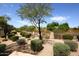 Well-maintained backyard featuring desert landscaping and serene green foliage at 19475 N Grayhawk Dr # 1018, Scottsdale, AZ 85255
