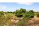 Scenic golf course view surrounded by desert vegetation and mature trees at 19475 N Grayhawk Dr # 1018, Scottsdale, AZ 85255