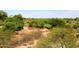 Picturesque golf course view showcasing lush greens and native desert foliage at 19475 N Grayhawk Dr # 1018, Scottsdale, AZ 85255