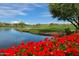 Picturesque golf course view with a tranquil lake, vibrant red flowers, and lush green fairway at 19475 N Grayhawk Dr # 1018, Scottsdale, AZ 85255