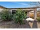 Backyard featuring lush greenery and a covered patio area at 266 N Piedra Way, Mesa, AZ 85207