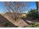 Landscaped backyard featuring desert landscaping, a privacy wall, and a mature shade tree at 266 N Piedra Way, Mesa, AZ 85207