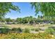 Well-manicured green space in community with flowers, trees, and walking paths at 266 N Piedra Way, Mesa, AZ 85207