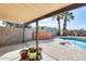 Relaxing covered patio overlooking a pool and palm trees, creating a serene outdoor living space at 4343 E Contessa St, Mesa, AZ 85205