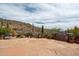 Desert backyard with BBQ, lush landscaping, and desert mountain views at 4903 S Desert Willow Dr, Gold Canyon, AZ 85118