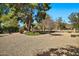 Expansive backyard with gravel and mature trees at 902 W Moon Valley Dr, Phoenix, AZ 85023