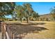 Scenic view of lush green space and mature trees at 902 W Moon Valley Dr, Phoenix, AZ 85023