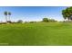 Expansive view of a well-manicured golf course with mature trees and lush green grass under a clear sky at 12939 W Prospect Dr, Sun City West, AZ 85375