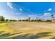 Scenic golf course view, with vibrant green fairways and well-manicured trees under a blue sky at 12939 W Prospect Dr, Sun City West, AZ 85375