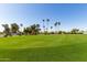 Scenic golf course view featuring lush green grass, palm trees, and well-kept homes in the background at 12939 W Prospect Dr, Sun City West, AZ 85375