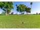 Golf course showing a hole, lush green grass, and mature trees under a clear blue sky at 12939 W Prospect Dr, Sun City West, AZ 85375