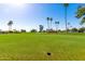 Golf course showing a hole, lush green grass, and mature palm trees under a clear blue sky at 12939 W Prospect Dr, Sun City West, AZ 85375