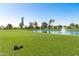 Beautiful golf course with a serene pond featuring a fountain, surrounded by lush green grass and trees at 12939 W Prospect Dr, Sun City West, AZ 85375