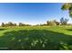 Lush green golf course with mature trees and clear blue sky in a well-maintained community at 12939 W Prospect Dr, Sun City West, AZ 85375