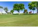 View of the golf course featuring mature trees and lush green grass at 12939 W Prospect Dr, Sun City West, AZ 85375