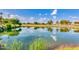 Tranquil pond on a golf course, with a clear reflection of the sky and surrounding greenery at 12939 W Prospect Dr, Sun City West, AZ 85375