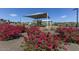 Community playground surrounded by vibrant flower beds and landscaping at 17145 W Hadley St, Goodyear, AZ 85338