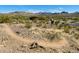 Community hiking trail with scenic views of the estate and mountain range at 18346 W Sweet Acacia Dr, Goodyear, AZ 85338