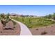 Picturesque community green space with walking paths, lush landscaping, and mountain views, creating a serene environment at 35493 N Seedling St, San Tan Valley, AZ 85144