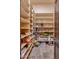 Walk-in pantry boasts generous shelving space for optimal organization and storage at 4431 E Gemini Pl, Chandler, AZ 85249