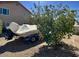 Backyard featuring desert landscaping and a lush lemon tree, combining beauty and utility at 4750 W Saddlehorn Rd, Phoenix, AZ 85083