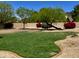 Spacious backyard with manicured lawn, mature trees, and decorative landscaping at 4750 W Saddlehorn Rd, Phoenix, AZ 85083