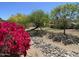 Beautiful landscaping with vibrant bougainvillea, rocks, and mature trees enhances the backyard at 4750 W Saddlehorn Rd, Phoenix, AZ 85083