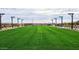 Expansive green lawn area perfect for outdoor activities, enhanced by overhead string lights at 5631 W Summerside Rd, Laveen, AZ 85339