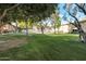 Expansive green space surrounded by mature trees, perfect for outdoor activities at 6125 E Indian School Rd # 131, Scottsdale, AZ 85251