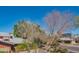 Street view featuring nearby houses, mature trees, clear sky, and neighborhood landscape at 920 S Ash Ave, Tempe, AZ 85281