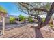 Spacious backyard featuring mature trees, desert landscaping, and comfortable outdoor seating at 16292 N Naegel Dr, Surprise, AZ 85374