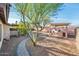 Charming backyard with a barbecue area, mature trees, and a winding stone pathway at 16292 N Naegel Dr, Surprise, AZ 85374