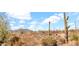 Desert landscape featuring various cacti, scrubs, and bushes against a mountain backdrop at 40108 N 2Nd Way, Phoenix, AZ 85086