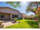Well-maintained backyard with manicured lawn, mature plants, and covered patio at 7214 N 88Th Ln, Glendale, AZ 85305