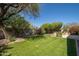 Serene backyard setting featuring a well-kept lawn, mature trees, and tranquil landscaping at 7214 N 88Th Ln, Glendale, AZ 85305
