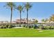 Beautiful community pool area with shaded seating, palm trees, and well-manicured landscaping at 13587 W Cypress St, Goodyear, AZ 85395