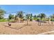Community playground area with swings, slides, and climbing structures set in a sandy play area at 13587 W Cypress St, Goodyear, AZ 85395