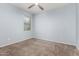 Bright bedroom with soft blue walls and plush carpeting, illuminated by natural light from a well-placed window at 17263 N Bala Dr, Maricopa, AZ 85138