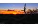 Scenic desert sunset featuring the silhouette of a cactus and vibrant sky over a rugged landscape at 20179 W Highland Ave, Litchfield Park, AZ 85340